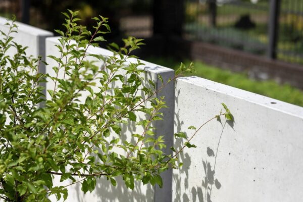 Mur ogrodzeniowy z betonu architektonicznego (50 cm szerokości)