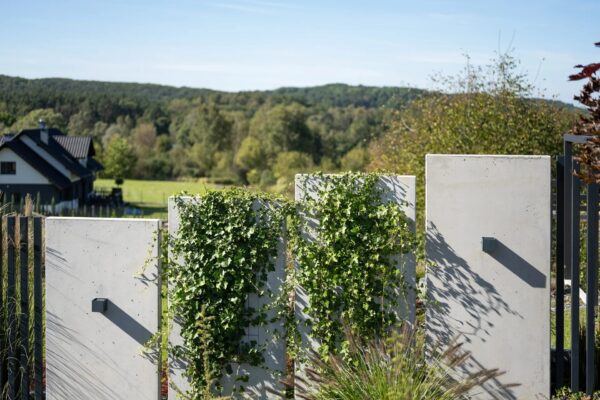 Mur ogrodzeniowy z betonu architektonicznego (50 cm szerokości)